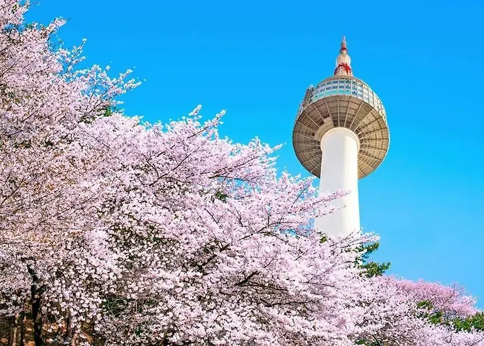 Dreamer Nest Seoul