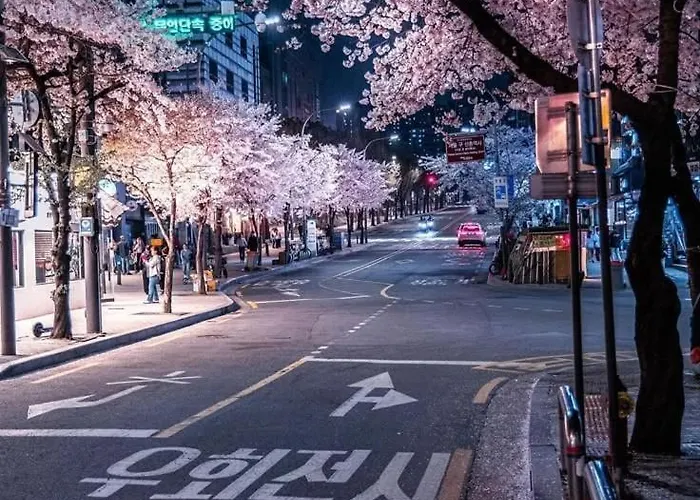 Apartment Dreamer Nest Seoul